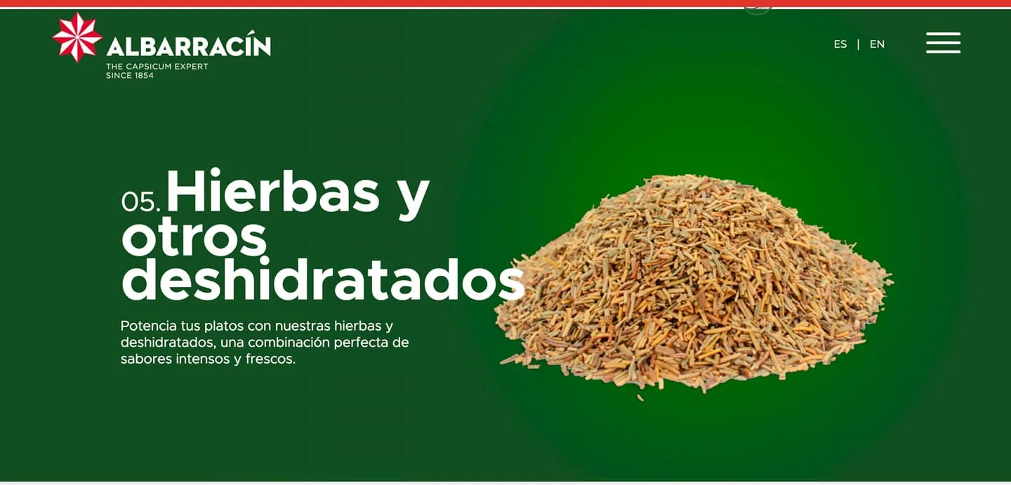 Captura 01 del proyecto Albarracín diseñada por Matthias Vera